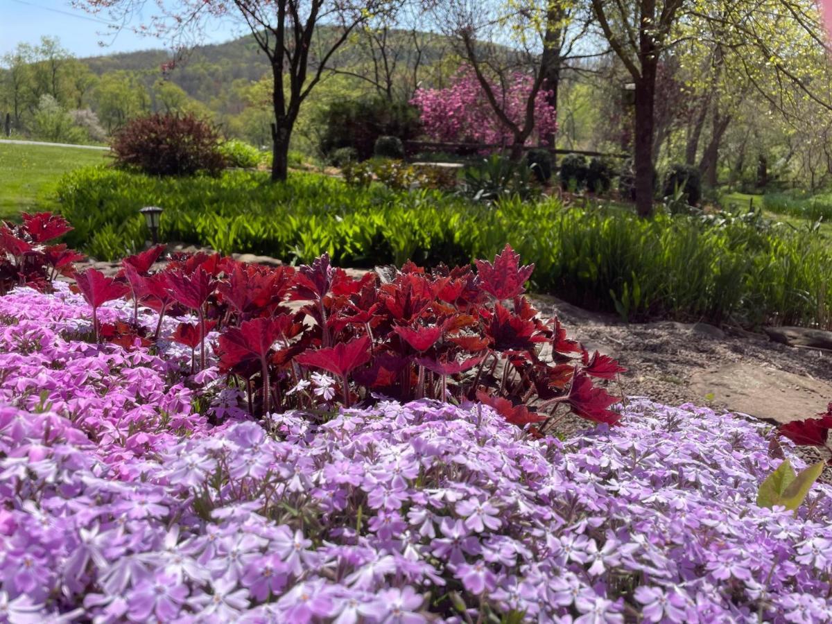 Wildflower Cottage ニューヨーク州オックスフォード市 エクステリア 写真