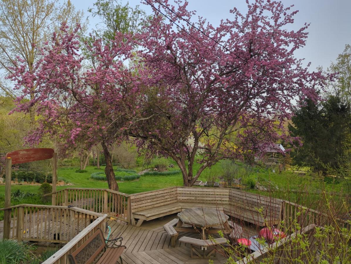 Wildflower Cottage ニューヨーク州オックスフォード市 エクステリア 写真